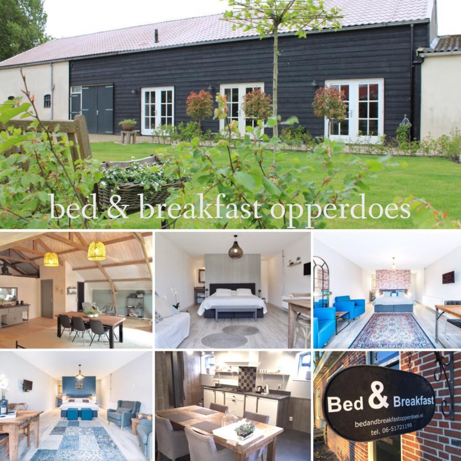 Bed & Breakfast Opperdoes מראה חיצוני תמונה